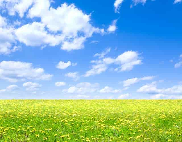 对高中同学学习的建议