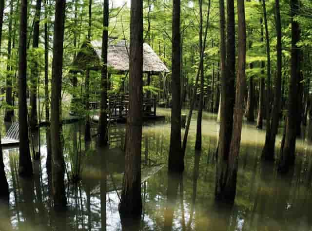 8个动作，配合有氧，6周肚子没有的！