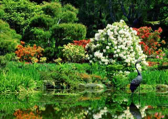 新冠疫苗第三针什么时候会有