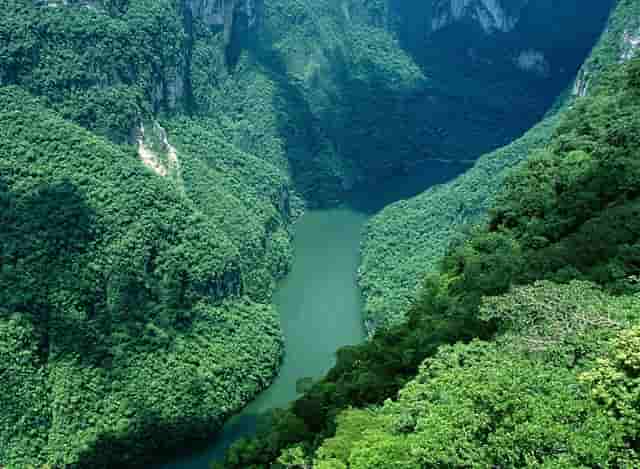 公安交管工作规定