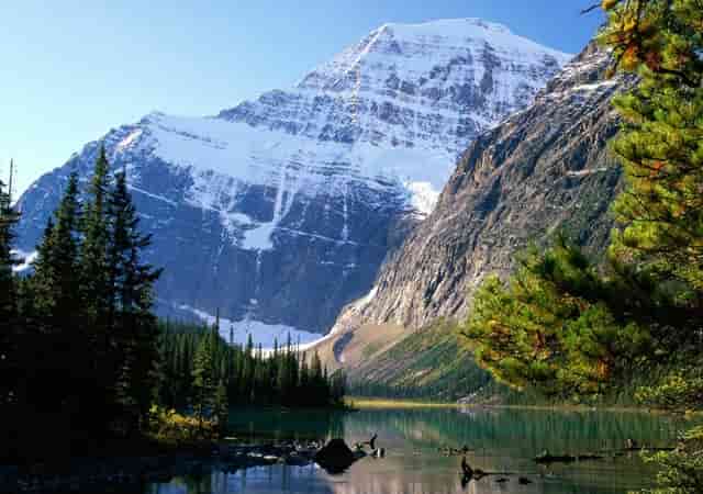 保罗造字母哥追尾犯规