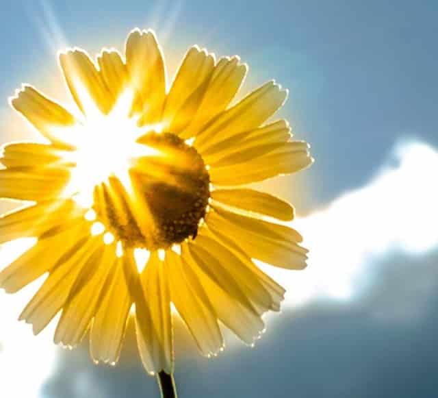 HECT澳洲瀚德移民： 澳大利亚申请留学规划指南