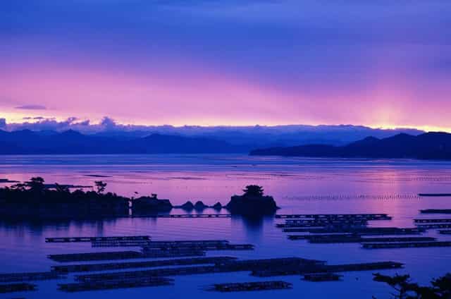 迈科期货亏损骗局？迈科教您如何截断亏损让利润奔跑！