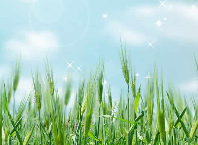 脸部被烫伤多久恢复正常(脸部烫伤色素沉淀多久能恢复正常)