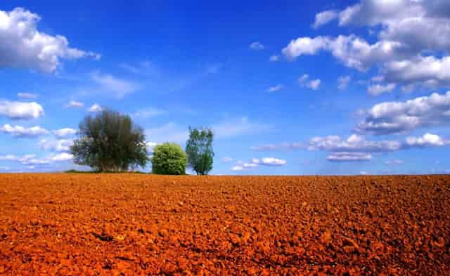 张康阳参加国米