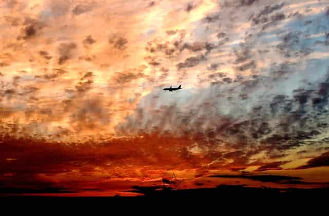 袖虎病狗攻略：狗狗体臭怎么办