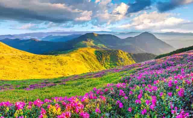 大姑姐和孙子吻戏(大姑姐的孙子我应该叫什么)