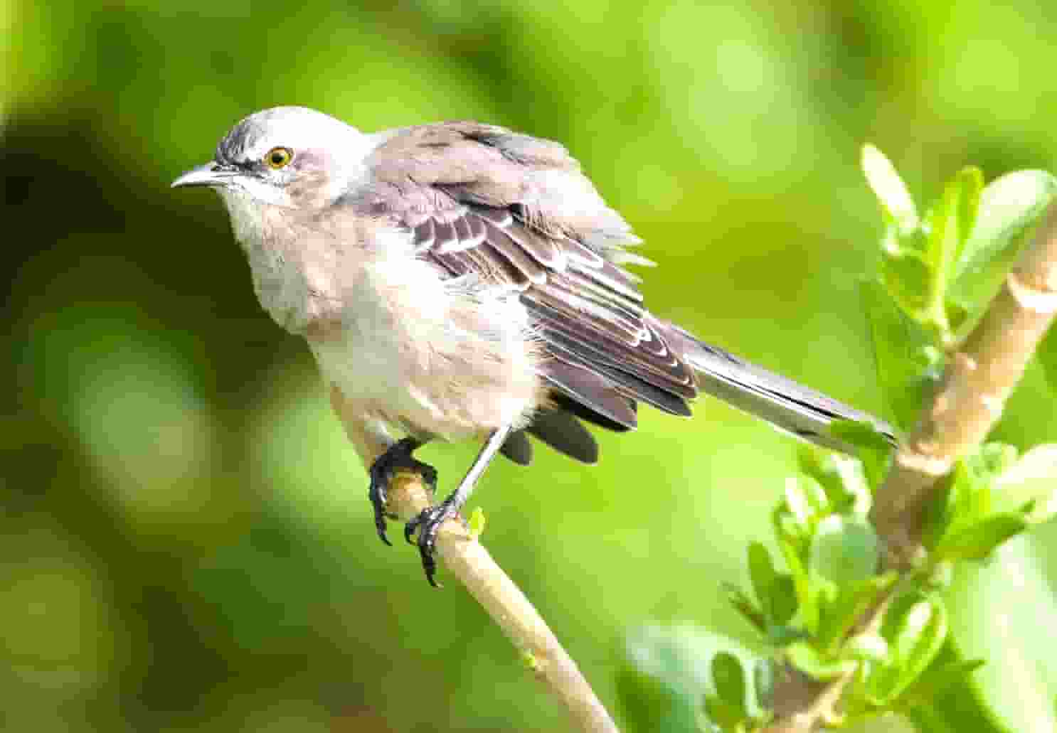 不知道以前怎么想的