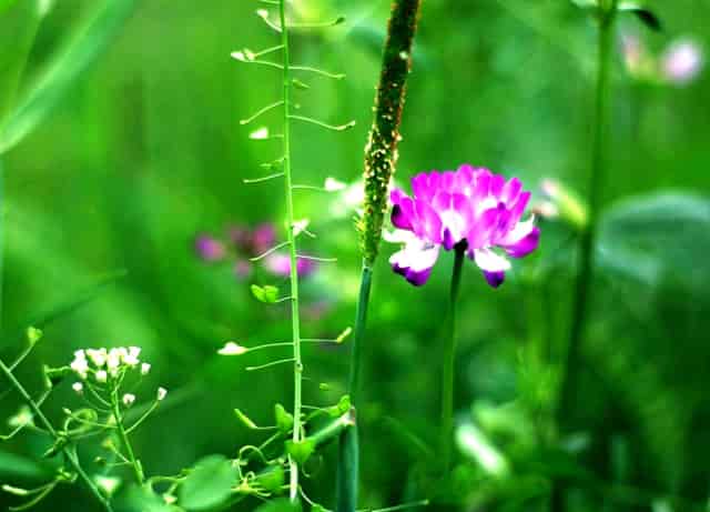 中公卫生公共基础知识百度云