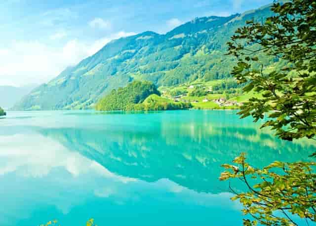 学点“猫咪心理学”，袖虎很靠谱