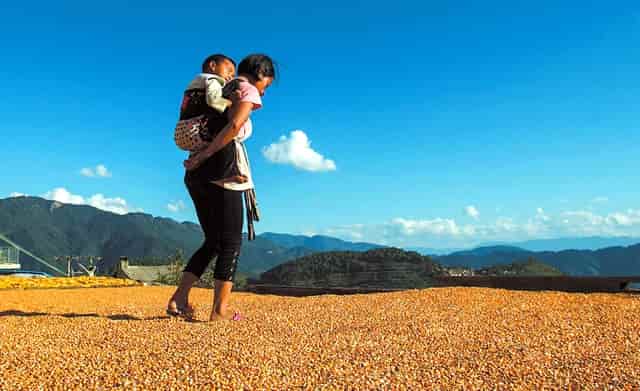 靶向药新星·拉罗替尼不限癌种（Larotrectinib，LOXO-101）