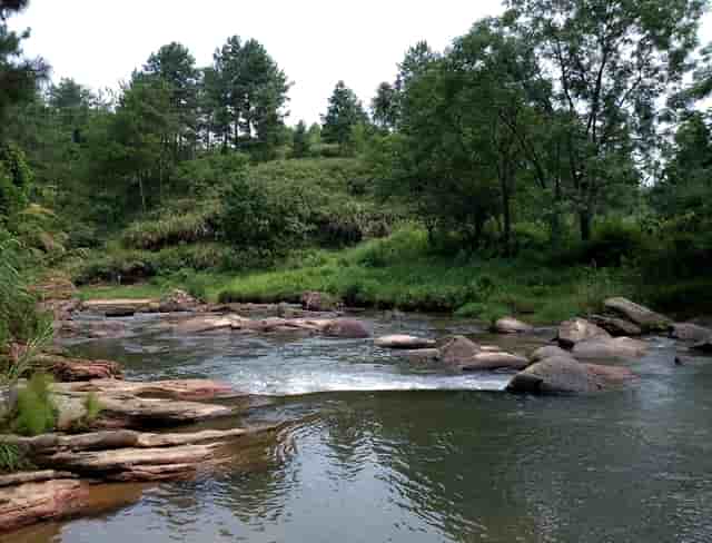 袖虎病猫攻略：猫咪口臭要注意