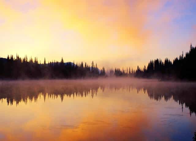 袖虎病狗攻略：狗狗喂食要注意，这几大误区可别沾