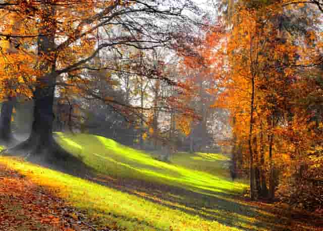 英雄联盟英雄火