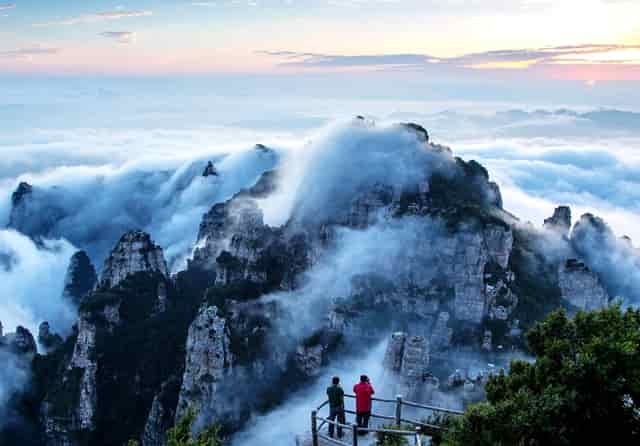 袖虎病狗攻略：狗狗口腔保健，拒绝口臭