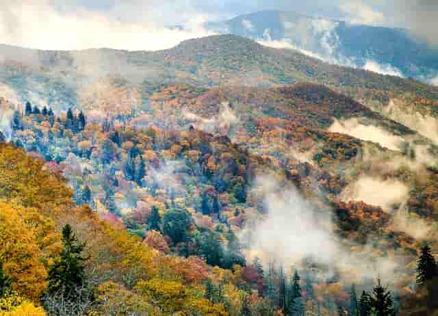 综合定点医疗机构(北京定点医疗机构编码)