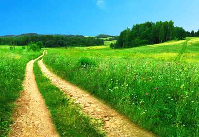 袖虎这个训猫技巧，一般人不知道