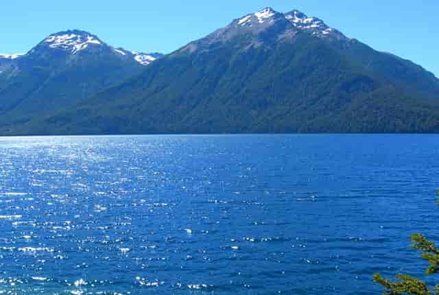 东京奥运会女排运动员