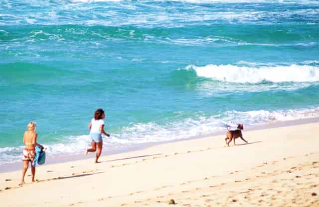 杏仁优护：老年人得了糖尿病，如何照顾护理？