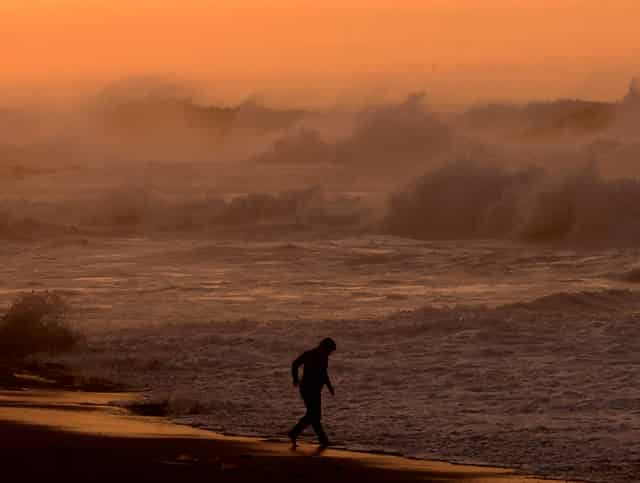 不吃蔬菜不长个
