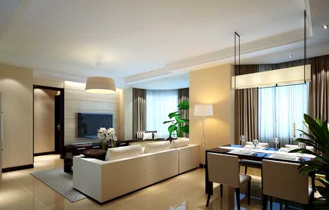 袖虎强烈建议，猫咪练胆要趁早