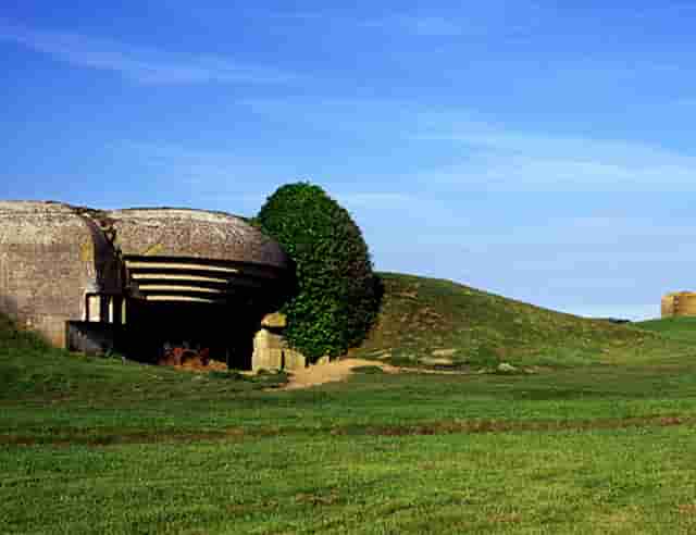 袖虎宠物解读宠物行业是否存在加盟骗局？