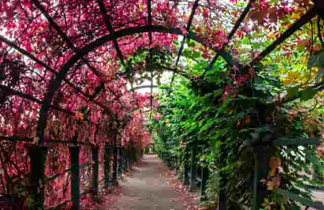 全新伊兰特轿车怎么样(全新伊兰特空间怎么样)