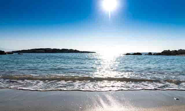 袖虎病狗攻略：狗怎么会瘸？