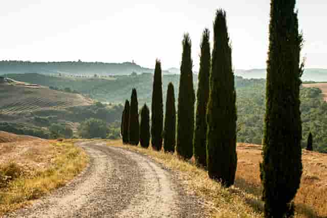 realme gt大师版多少元(realme gt大师版发布)