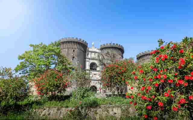 袖虎病猫攻略：怎么样为猫咪做产房