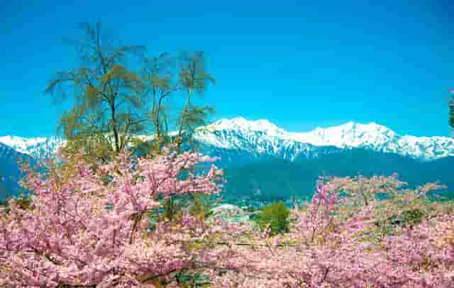 汉高祖为何杀萧何(汉高祖称赞萧何)