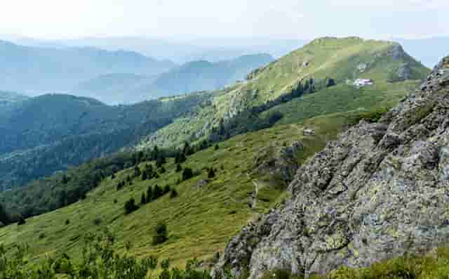 核算检测证明什么时候查(三日内核算检测证明从什么时候算)