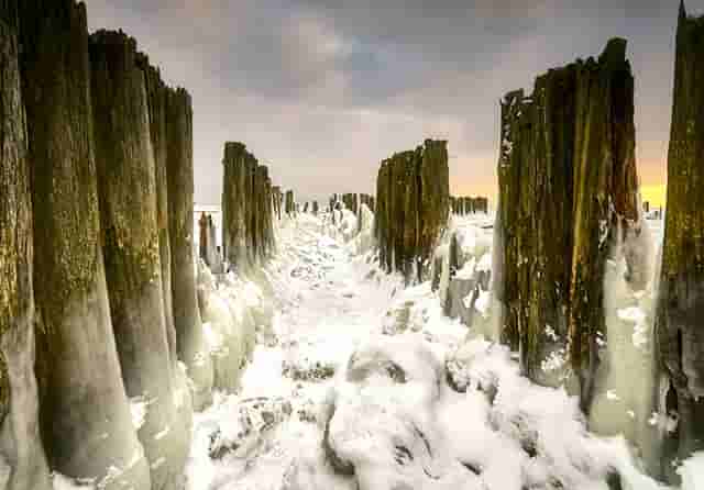 袖虎加盟故事：卖猫骗局