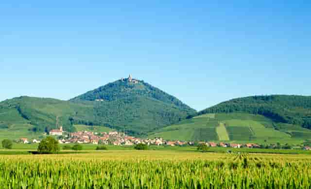 时尚装修技巧(时尚酒店装修效果图)