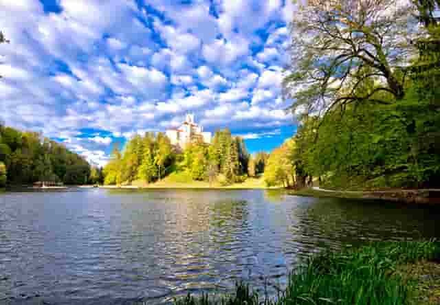 袖虎病狗攻略：鉴别病狗和健康狗的十二个方面，你知道几个？