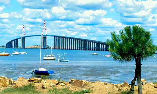 袖虎宠物告诉你：要学会避雷中国宠物行业无效信息！