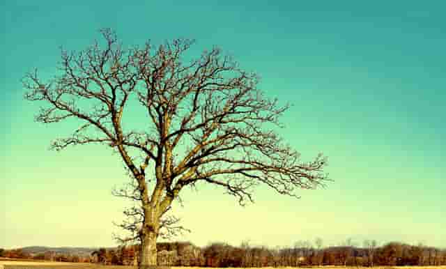 厂区蓄水池项目划分(蓄水池怎么做项目划分)