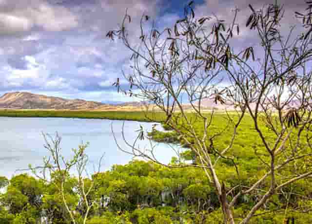 袖虎病狗攻略：狗狗掉毛多是有病的表现吗？