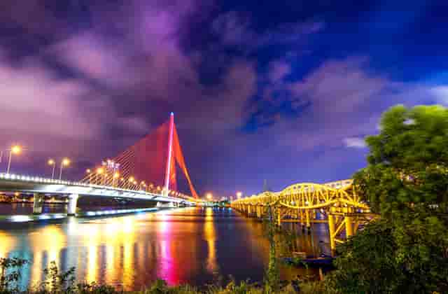 袖虎病狗攻略：狗狗鼻炎别大意