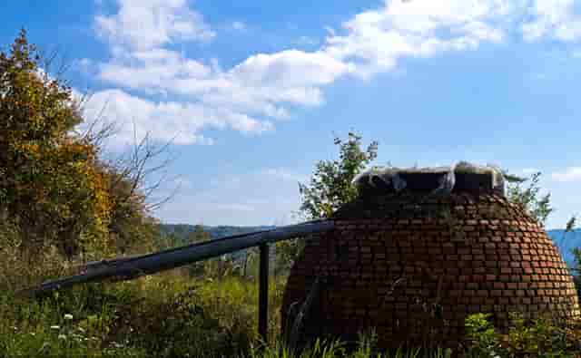 袖虎病猫攻略：加菲猫出现黑下巴是什么原因