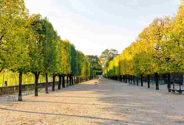 时尚马甲搭配技巧图片2015款(小香风马甲裙时尚搭配图片)