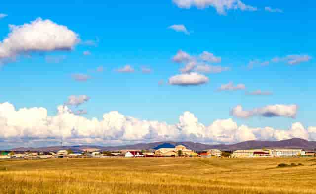 袖虎病猫攻略：人吃的药能喂猫吗？