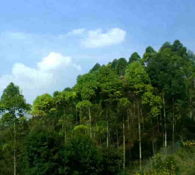 时尚穿搭技巧教程女生(时尚穿搭技巧 扬长避短)