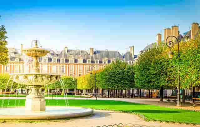 袖虎病狗攻略：哮喘的狗狗要小心