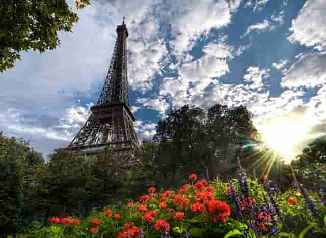 袖虎病狗攻略：狗身上碰不得的7个地方，小心无知被狗咬