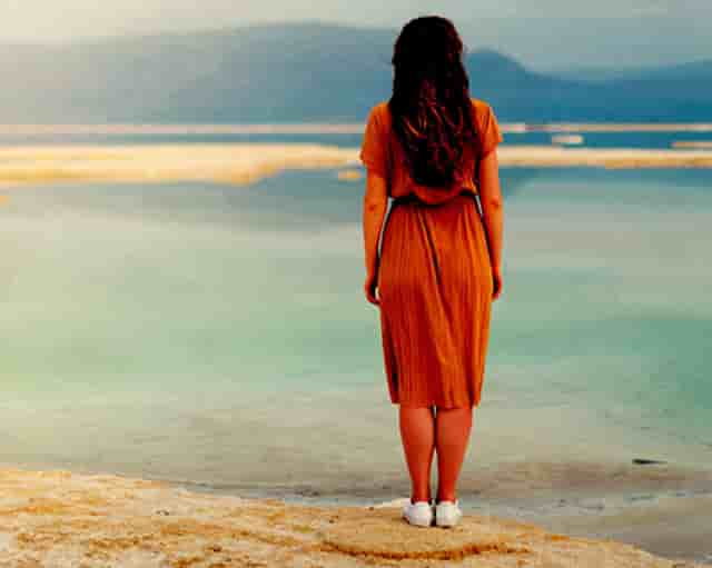 “鄂尔多斯红葱”正逐步走向产业化