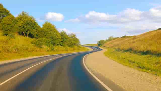 袖虎病猫攻略：感染绦虫怎么办？