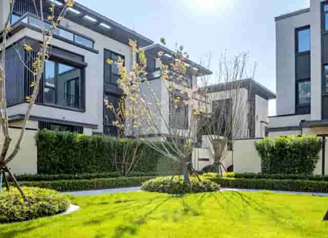 袖虎宠物加盟解惑，宠物店加盟品牌到底靠谱不？