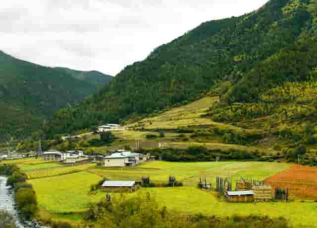 医疗包括卫生吗(医疗与卫生用纺织品)